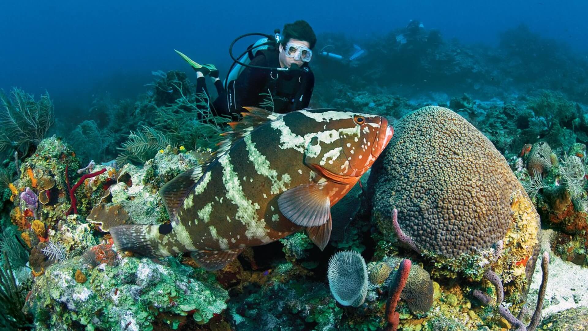 Blue Bay Marine Park Mauritius