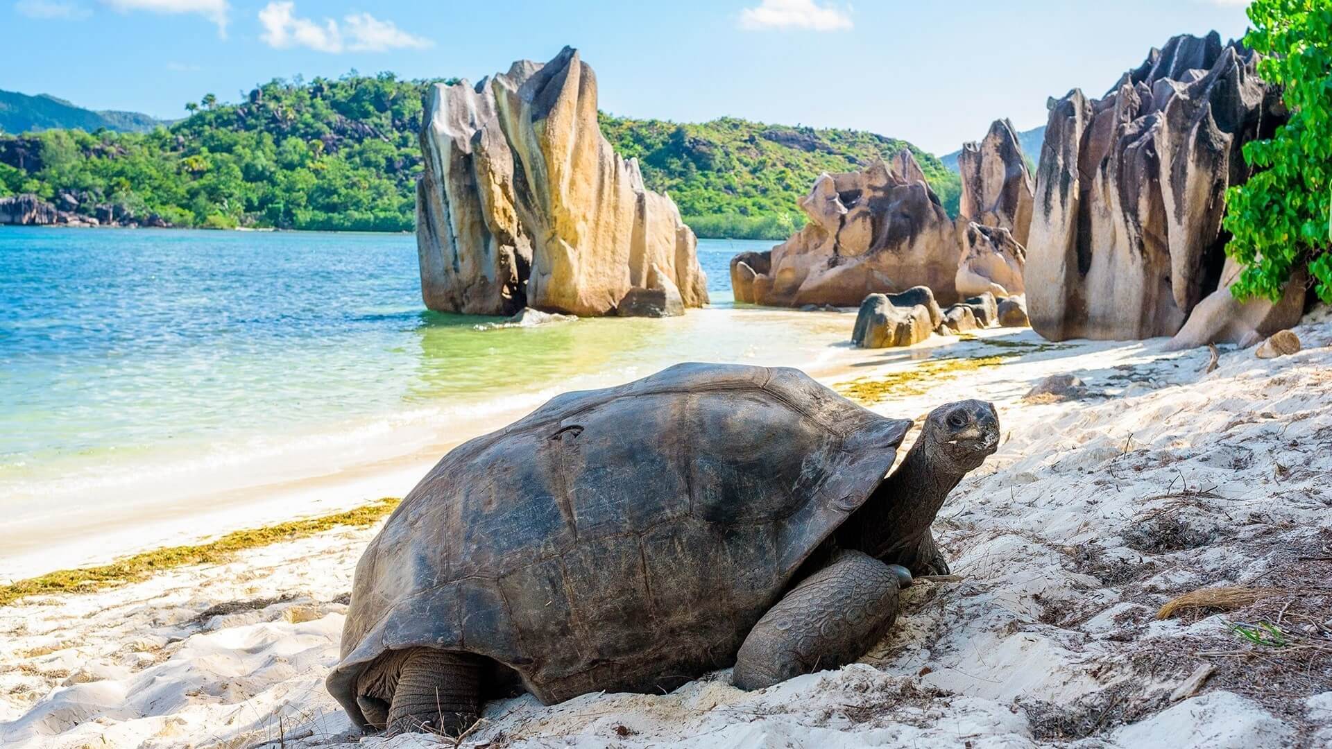 Morne Ulusal Parkı Seyşeller