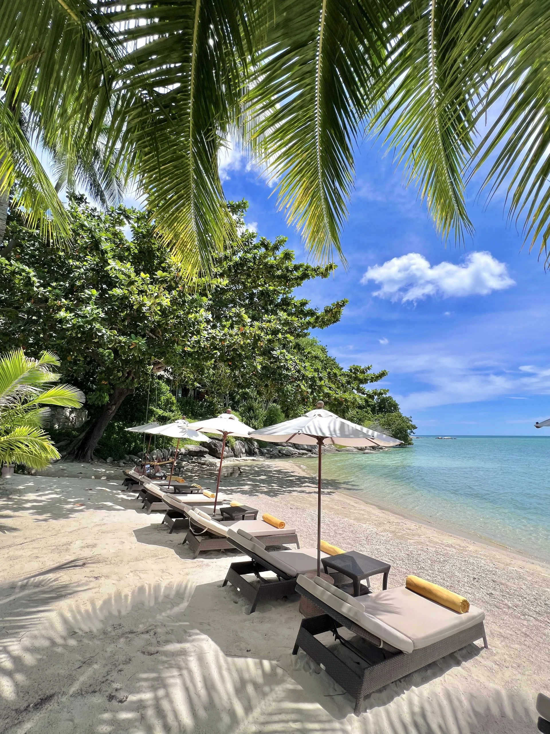Koh Samui adasında sahil manzarası Koh Samui adasında sahil manzarası