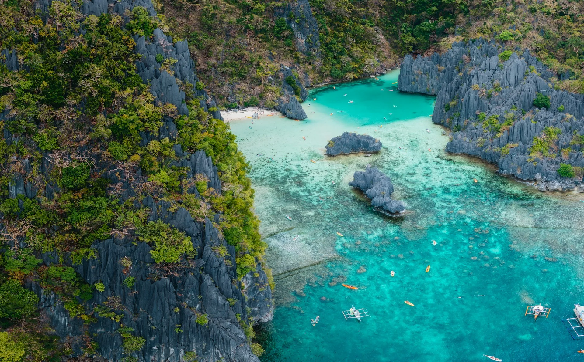Palawan adalarında tropik koy manzarası