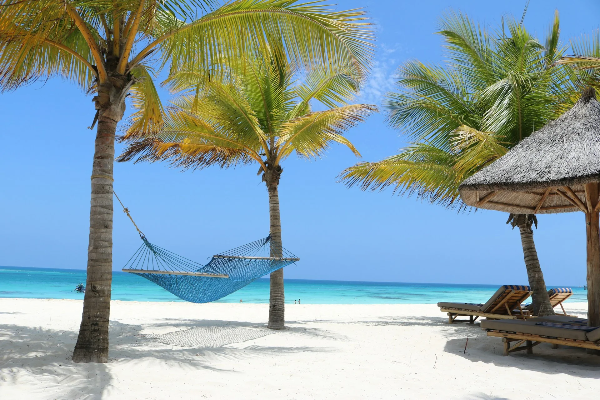 Zanzibar adasında tropik kıyı manzarası